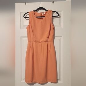 Japna Elegant Peach Sleeveless Dress